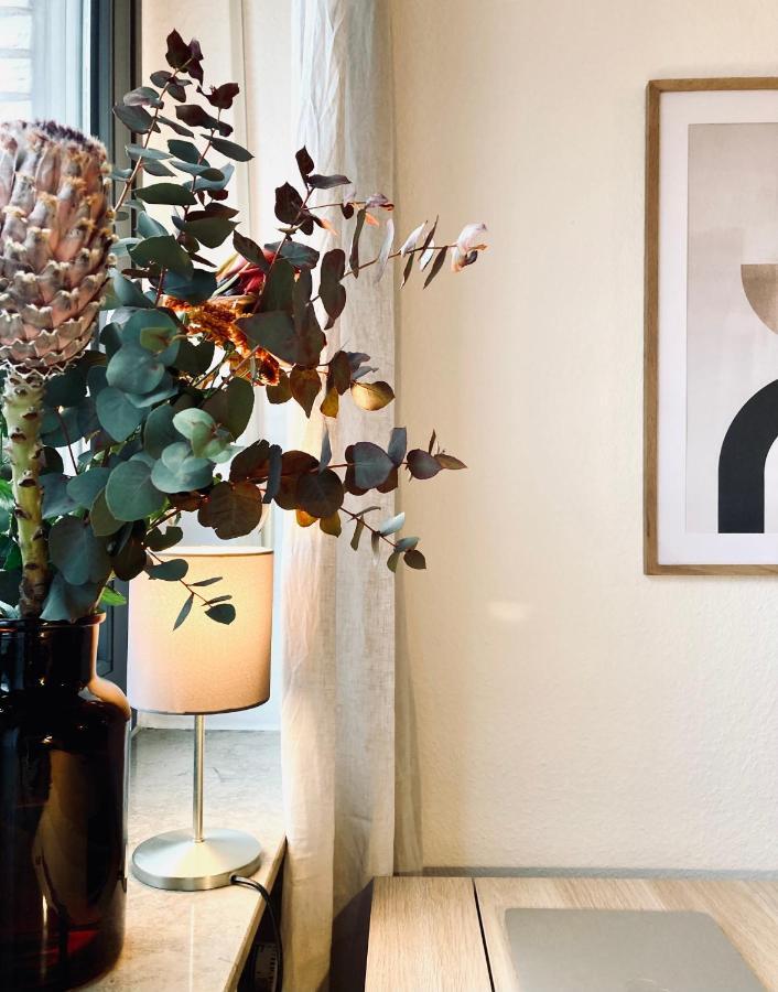 Schickes, Stilvolles Und Helles Apartment In Muenster エクステリア 写真