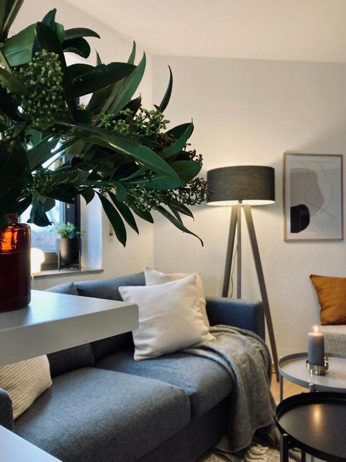 Schickes, Stilvolles Und Helles Apartment In Muenster エクステリア 写真